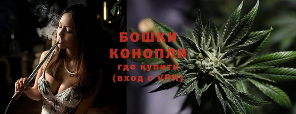 индика Белокуриха