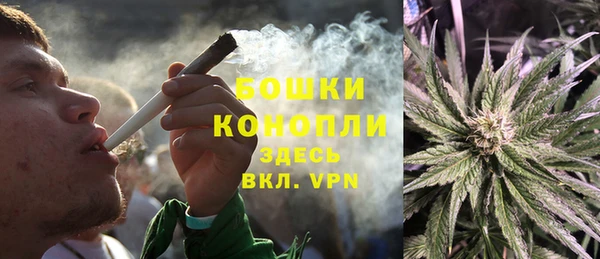 индика Белокуриха