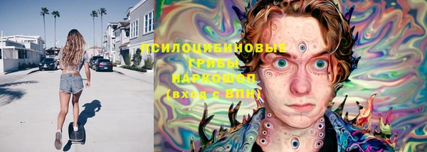 индика Белокуриха