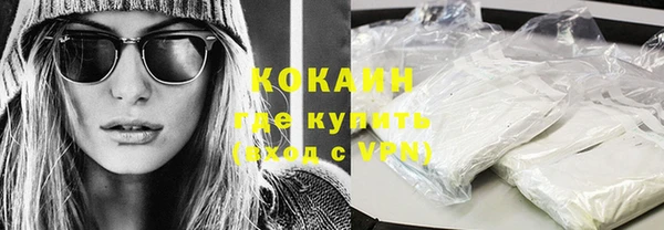 индика Белокуриха